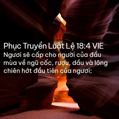 Picture 02 - Phục Truyền Luật Lệ 18:4 VIE - Ngươi sẽ cấp cho người của đầu mùa - Bible Verse Picture