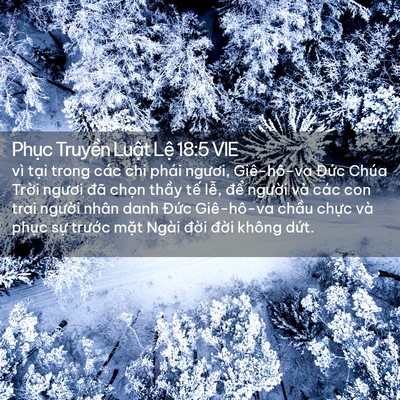 Picture 02 - Phục Truyền Luật Lệ 18:5 VIE - vì tại trong các chi phái ngươi, - Bible Verse Picture