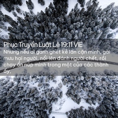 Picture 02 - Phục Truyền Luật Lệ 19:11 VIE - Nhưng nếu ai ganh ghét kẻ lân cận mình, - Bible Verse Picture