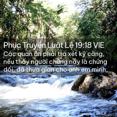 Picture 02 - Phục Truyền Luật Lệ 19:18 VIE - Các quan án phải tra xét kỹ càng, nếu - Bible Verse Picture