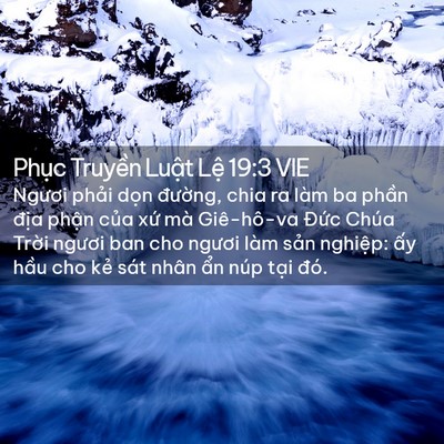 Picture 02 - Phục Truyền Luật Lệ 19:3 VIE - Ngươi phải dọn đường, chia ra làm ba - Bible Verse Picture
