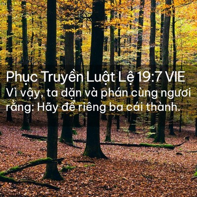 Picture 02 - Phục Truyền Luật Lệ 19:7 VIE - Vì vậy, ta dặn và phán cùng ngươi - Bible Verse Picture