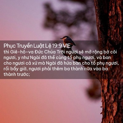 Picture 02 - Phục Truyền Luật Lệ 19:9 VIE - thì Giê-hô-va Đức Chúa Trời ngươi sẽ - Bible Verse Picture