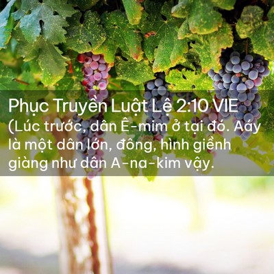 Picture 02 - Phục Truyền Luật Lệ 2:10 VIE - (Lúc trước, dân Ê-mim ở tại đó. Aáy - Bible Verse Picture