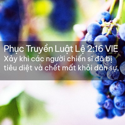 Picture 02 - Phục Truyền Luật Lệ 2:16 VIE - Xảy khi các người chiến sĩ đã bị - Bible Verse Picture