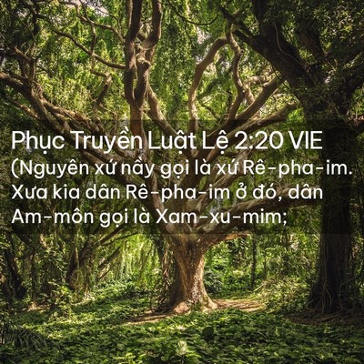 Picture 02 - Phục Truyền Luật Lệ 2:20 VIE - (Nguyên xứ nầy gọi là xứ Rê-pha-im. - Bible Verse Picture