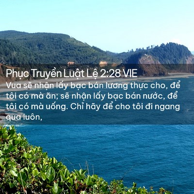 Picture 02 - Phục Truyền Luật Lệ 2:28 VIE - Vua sẽ nhận lấy bạc bán lương thực - Bible Verse Picture