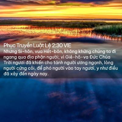 Picture 02 - Phục Truyền Luật Lệ 2:30 VIE - Nhưng Si-hôn, vua Hết-bôn, không khứng - Bible Verse Picture