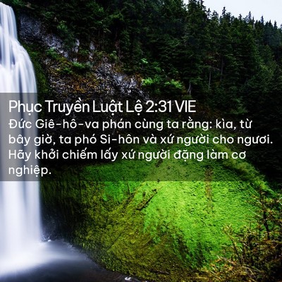 Picture 02 - Phục Truyền Luật Lệ 2:31 VIE - Đức Giê-hô-va phán cùng ta rằng: kìa, - Bible Verse Picture