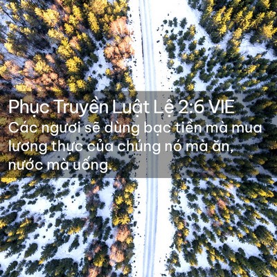 Picture 02 - Phục Truyền Luật Lệ 2:6 VIE - Các ngươi sẽ dùng bạc tiền mà mua - Bible Verse Picture