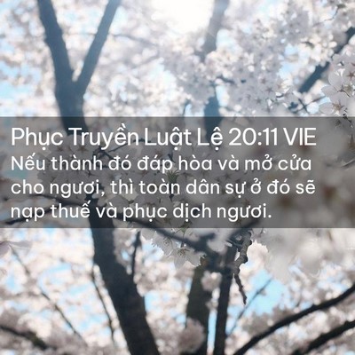 Picture 02 - Phục Truyền Luật Lệ 20:11 VIE - Nếu thành đó đáp hòa và mở cửa cho - Bible Verse Picture