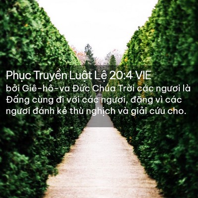 Picture 02 - Phục Truyền Luật Lệ 20:4 VIE - bởi Giê-hô-va Đức Chúa Trời các - Bible Verse Picture