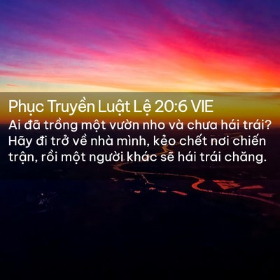 Picture 02 - Phục Truyền Luật Lệ 20:6 VIE - Ai đã trồng một vườn nho và chưa hái - Bible Verse Picture