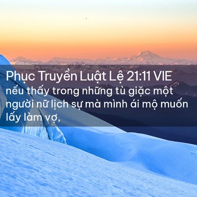 Picture 02 - Phục Truyền Luật Lệ 21:11 VIE - nếu thấy trong những tù giặc một - Bible Verse Picture