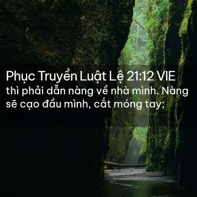 Picture 02 - Phục Truyền Luật Lệ 21:12 VIE - thì phải dẫn nàng về nhà mình. Nàng - Bible Verse Picture