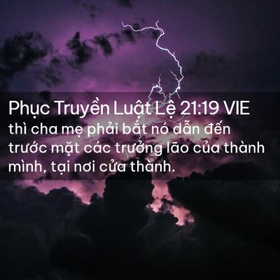 Picture 02 - Phục Truyền Luật Lệ 21:19 VIE - thì cha mẹ phải bắt nó dẫn đến - Bible Verse Picture