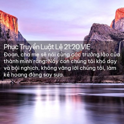 Picture 02 - Phục Truyền Luật Lệ 21:20 VIE - Đoạn, cha mẹ sẽ nói cùng các trưởng - Bible Verse Picture