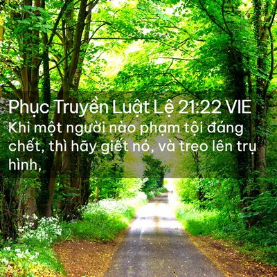 Picture 02 - Phục Truyền Luật Lệ 21:22 VIE - Khi một người nào phạm tội đáng - Bible Verse Picture
