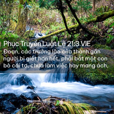 Picture 02 - Phục Truyền Luật Lệ 21:3 VIE - Đoạn, các trưởng lão của thành gần - Bible Verse Picture