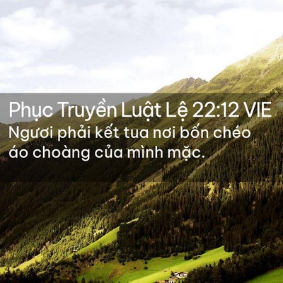 Picture 02 - Phục Truyền Luật Lệ 22:12 VIE - Ngươi phải kết tua nơi bốn chéo áo - Bible Verse Picture