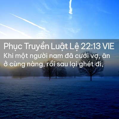 Picture 02 - Phục Truyền Luật Lệ 22:13 VIE - Khi một người nam đã cưới vợ, ăn ở - Bible Verse Picture