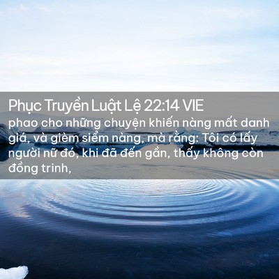 Picture 02 - Phục Truyền Luật Lệ 22:14 VIE - phao cho những chuyện khiến nàng mất - Bible Verse Picture