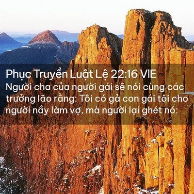 Picture 02 - Phục Truyền Luật Lệ 22:16 VIE - Người cha của người gái sẽ nói cùng - Bible Verse Picture