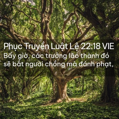 Picture 02 - Phục Truyền Luật Lệ 22:18 VIE - Bấy giờ, các trưởng lão thành đó sẽ - Bible Verse Picture