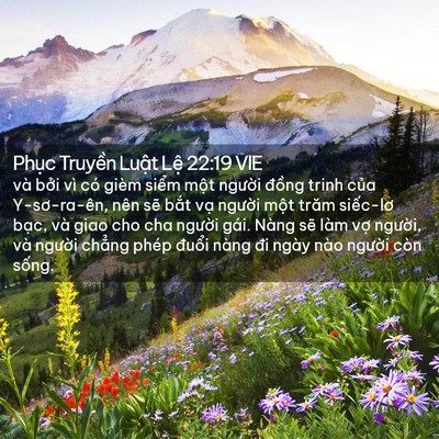 Picture 02 - Phục Truyền Luật Lệ 22:19 VIE - và bởi vì có gièm siểm một người - Bible Verse Picture