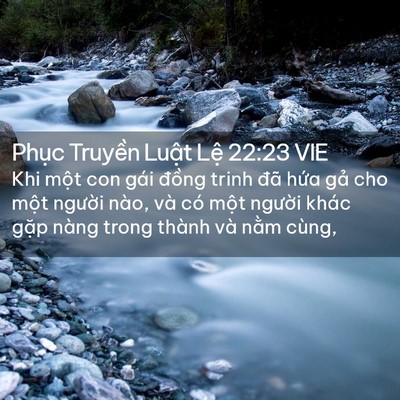 Picture 02 - Phục Truyền Luật Lệ 22:23 VIE - Khi một con gái đồng trinh đã hứa gả - Bible Verse Picture