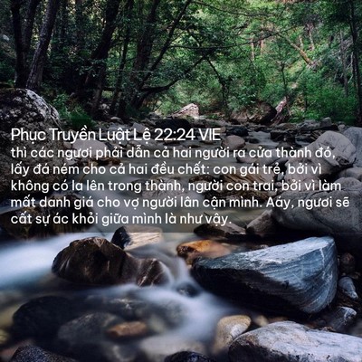 Picture 02 - Phục Truyền Luật Lệ 22:24 VIE - thì các ngươi phải dẫn cả hai người - Bible Verse Picture