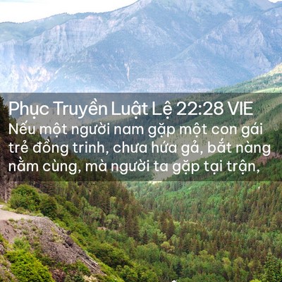 Picture 02 - Phục Truyền Luật Lệ 22:28 VIE - Nếu một người nam gặp một con gái - Bible Verse Picture