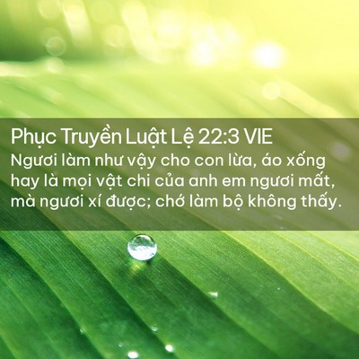 Picture 02 - Phục Truyền Luật Lệ 22:3 VIE - Ngươi làm như vậy cho con lừa, áo xống - Bible Verse Picture