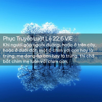 Picture 02 - Phục Truyền Luật Lệ 22:6 VIE - Khi ngươi gặp ngoài đường, hoặc ở - Bible Verse Picture