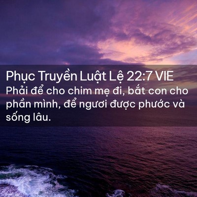 Picture 02 - Phục Truyền Luật Lệ 22:7 VIE - Phải để cho chim mẹ đi, bắt con cho - Bible Verse Picture