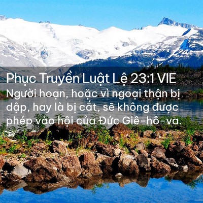 Picture 02 - Phục Truyền Luật Lệ 23:1 VIE - Người hoạn, hoặc vì ngoại thận bị - Bible Verse Picture
