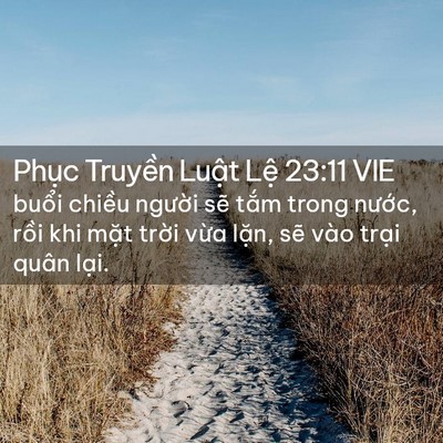 Picture 02 - Phục Truyền Luật Lệ 23:11 VIE - buổi chiều người sẽ tắm trong nước, - Bible Verse Picture