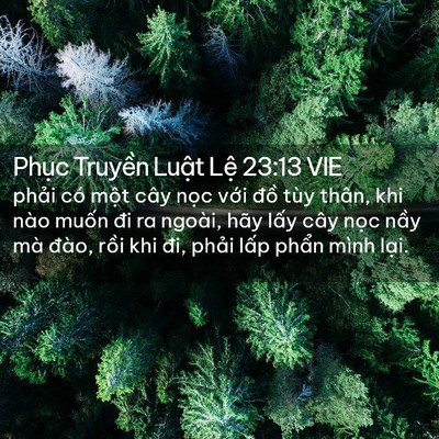 Picture 02 - Phục Truyền Luật Lệ 23:13 VIE - phải có một cây nọc với đồ tùy - Bible Verse Picture