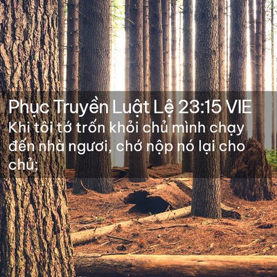 Picture 02 - Phục Truyền Luật Lệ 23:15 VIE - Khi tôi tớ trốn khỏi chủ mình chạy - Bible Verse Picture