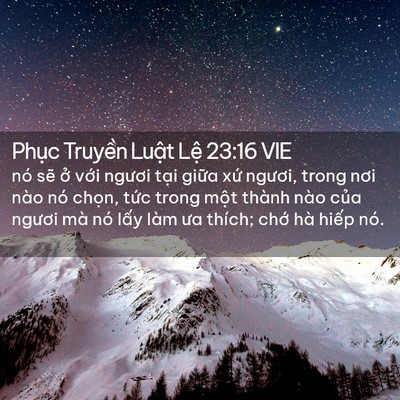 Picture 02 - Phục Truyền Luật Lệ 23:16 VIE - nó sẽ ở với ngươi tại giữa xứ - Bible Verse Picture