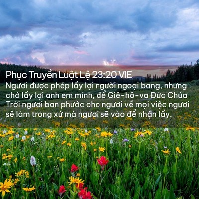Picture 02 - Phục Truyền Luật Lệ 23:20 VIE - Ngươi được phép lấy lợi người - Bible Verse Picture