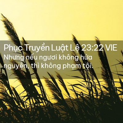 Picture 02 - Phục Truyền Luật Lệ 23:22 VIE - Nhưng nếu ngươi không hứa nguyện, thì - Bible Verse Picture