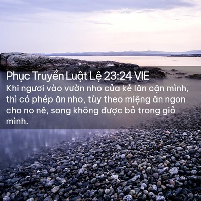 Picture 02 - Phục Truyền Luật Lệ 23:24 VIE - Khi ngươi vào vườn nho của kẻ lân - Bible Verse Picture