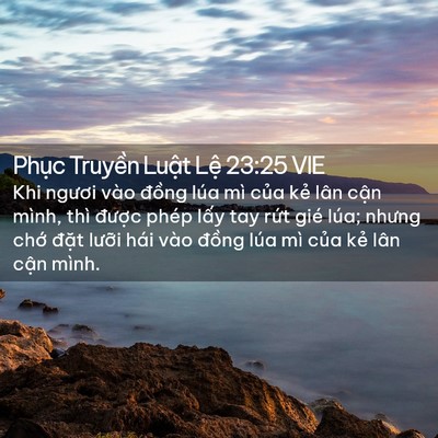 Picture 02 - Phục Truyền Luật Lệ 23:25 VIE - Khi ngươi vào đồng lúa mì của kẻ lân - Bible Verse Picture