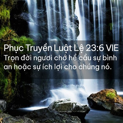 Picture 02 - Phục Truyền Luật Lệ 23:6 VIE - Trọn đời ngươi chớ hề cầu sự bình - Bible Verse Picture