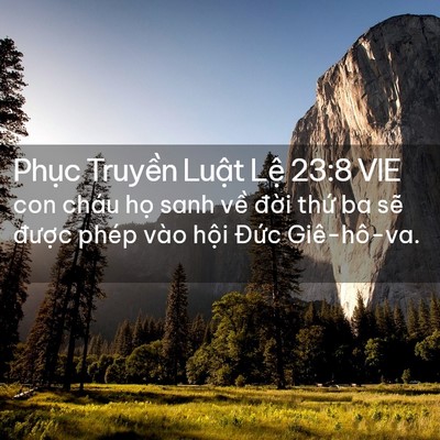 Picture 02 - Phục Truyền Luật Lệ 23:8 VIE - con cháu họ sanh về đời thứ ba sẽ - Bible Verse Picture