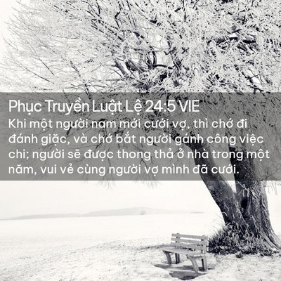 Picture 02 - Phục Truyền Luật Lệ 24:5 VIE - Khi một người nam mới cưới vợ, thì - Bible Verse Picture
