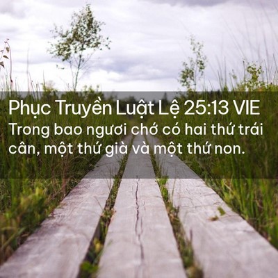 Picture 02 - Phục Truyền Luật Lệ 25:13 VIE - Trong bao ngươi chớ có hai thứ trái cân, - Bible Verse Picture