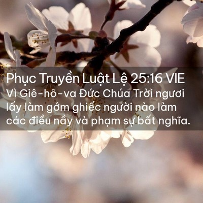 Picture 02 - Phục Truyền Luật Lệ 25:16 VIE - Vì Giê-hô-va Đức Chúa Trời ngươi lấy - Bible Verse Picture