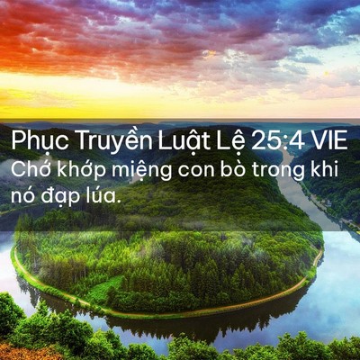 Picture 02 - Phục Truyền Luật Lệ 25:4 VIE - Chớ khớp miệng con bò trong khi nó đạp - Bible Verse Picture